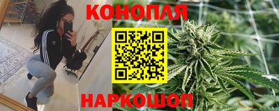 прущие крисы Пенза