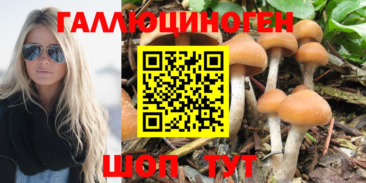 Галлюциногенные грибы GOLDEN TEACHER Стрежевой